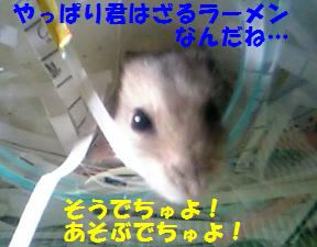 あちょびまちゅ