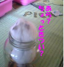 ん？き、きつい！