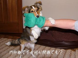 噛み付きパス２