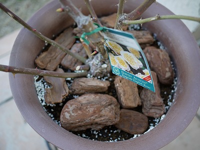 庭２０１１０２－２