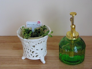 グリーンネックレス