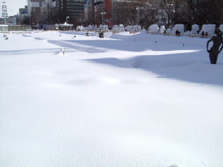 雪祭り会場a　ダイブしてみたいっ（笑）