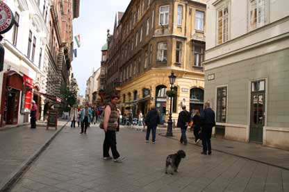 ブダペスト商店街犬