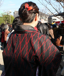 2007.2.3猫祭り後ろ姿