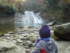 りゅう　養老渓谷