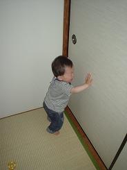 りゅう　後追い２