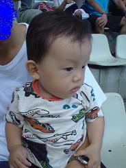 りゅう　イルカにびびる