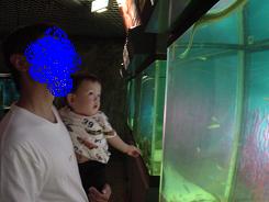 りゅう　うみへびをじっと見る