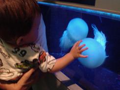 りゅう　クラゲをつかもうとする