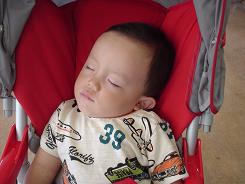 りゅう　疲れて寝る