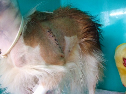 ラッシュ 227.jpg