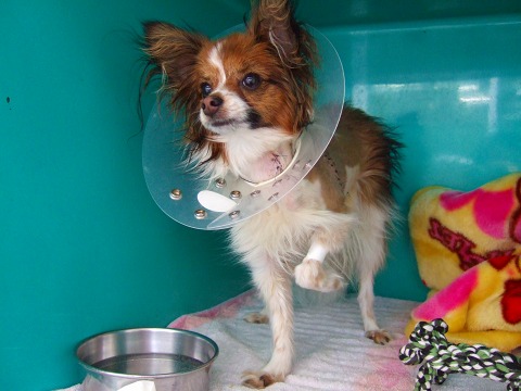 ラッシュ 229.jpg