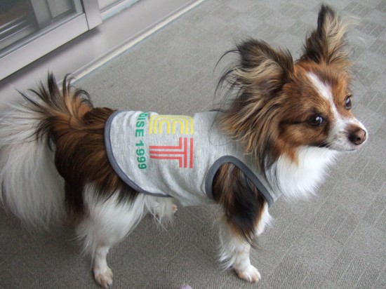 ラッシュ 130.jpg