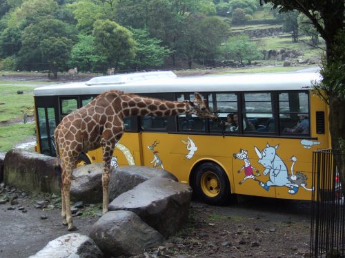 伊豆旅行 096.jpg