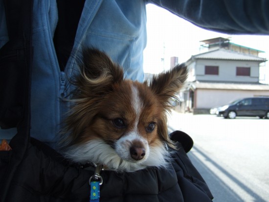 ラッシュ 069.jpg