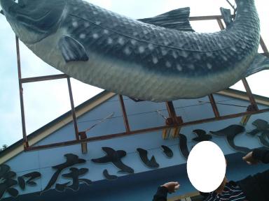 知床さいはて市場