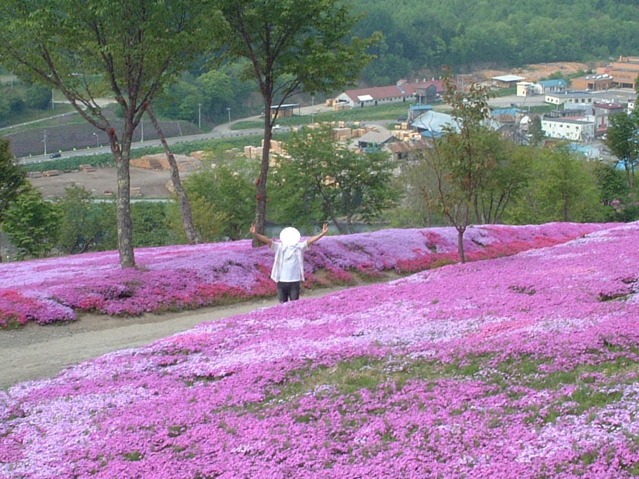 プリンス両手ピース