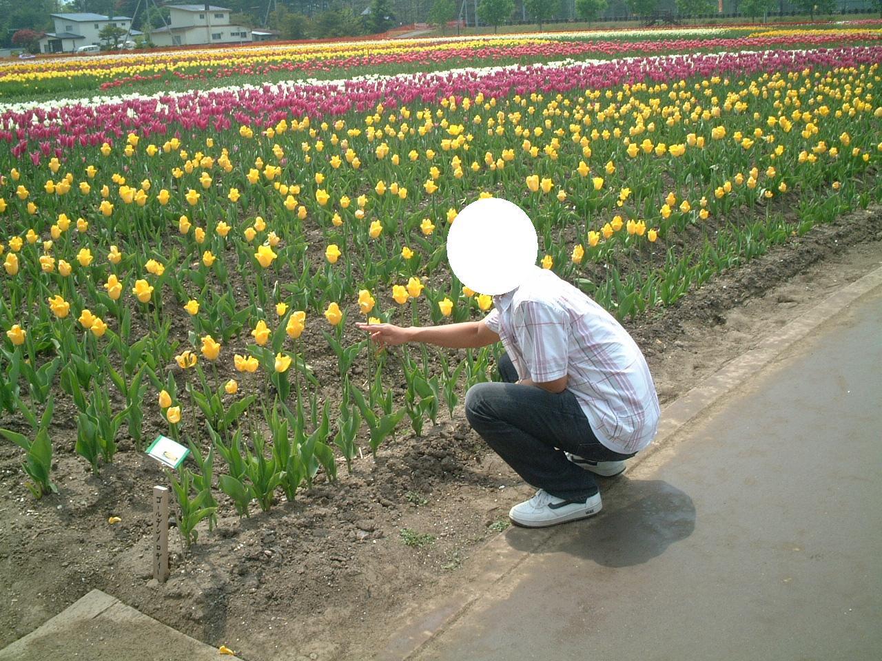 プリンスお花の手入れ