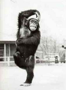 シェェェェ～♪