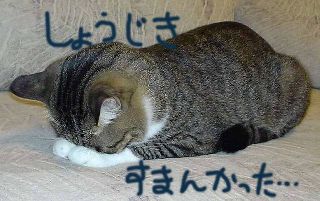 もう顔あげてよ・・・