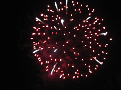 2009-hanabi5