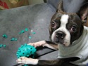 bati_ball
