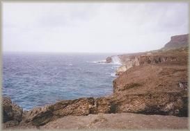 rota16