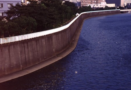 １．隅田川：堤防-02P 03qt