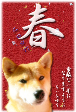 ユウさん宅の千春ちゃん♪お正月カード。