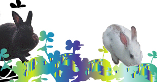 Happiness is hidden in every day.