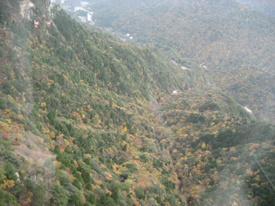 gozaisyo3.jpg