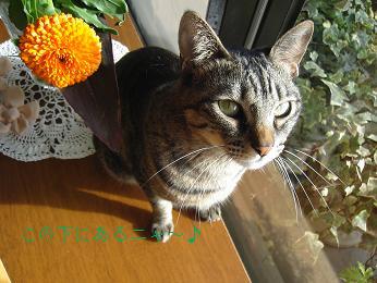 波動 001チャー.JPG