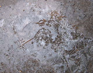 　山道0003.jpg