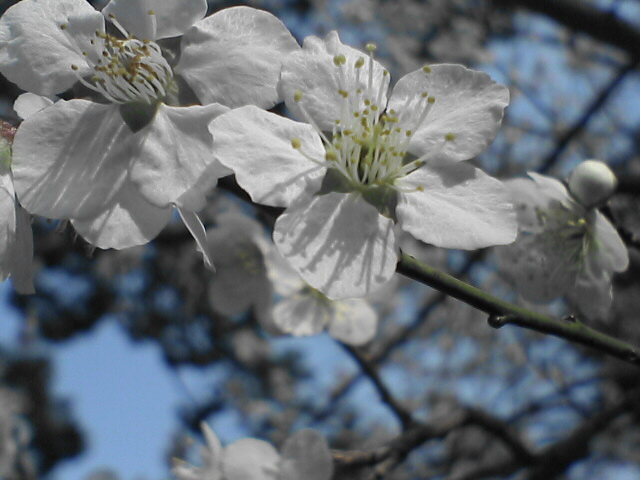 3月8日