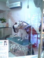 20050617.jpg