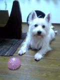 2005-12-12 23:52:14