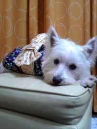 20051216.jpg