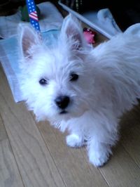 20050430.jpg