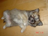 赤ちゃんクッチ☆