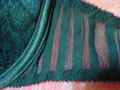 KIF_06650026.jpg