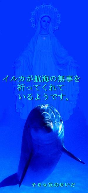 イルカ祈ってます