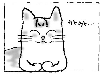 本日のはな-1