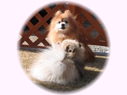 ねぇ、未来ちゃん・・・ボクのことどう思う？？？