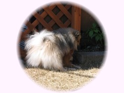 ボク、未来ちゃん大好きだよ～～～♪