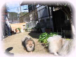 何して遊ぼうかなぁ～？