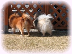 未来ちゃん、何見てるの？？？