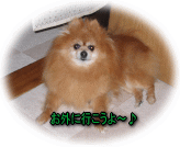 お外に行きたいなぁ～～☆