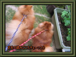 早くここで自由に遊びたいね～♪