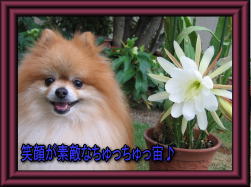 可愛い笑顔でランランラ～ン♪