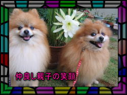 お花と未来と宙・・・。一番きれいなのは～だぁ～れかなぁ～？